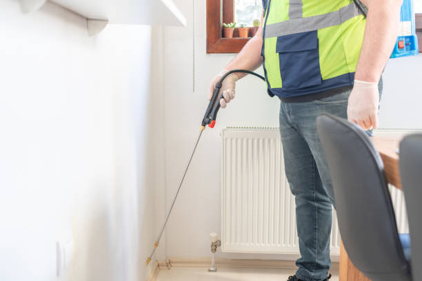 Best Flea Control Services  in Lawndale, CA
