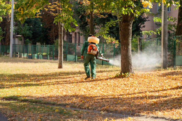 Best Commercial Pest Control Services  in Lawndale, CA
