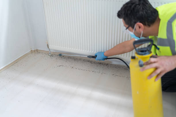 Best Pest Removal Services  in Lawndale, CA